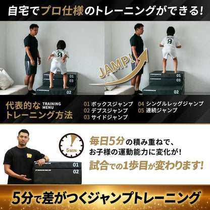 #2950 プライオボックス　4段