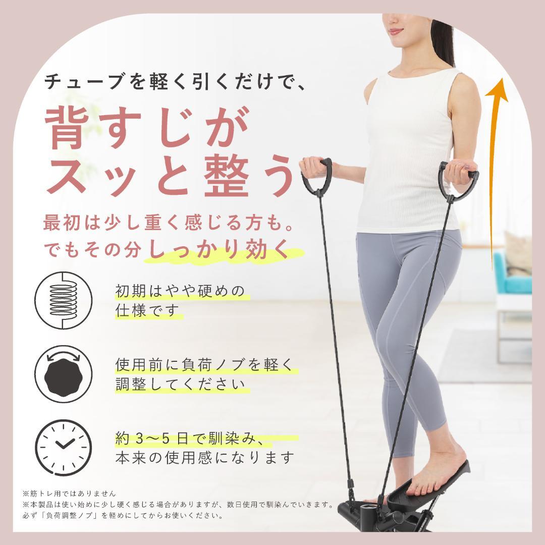 #2910　ステップマシングレー