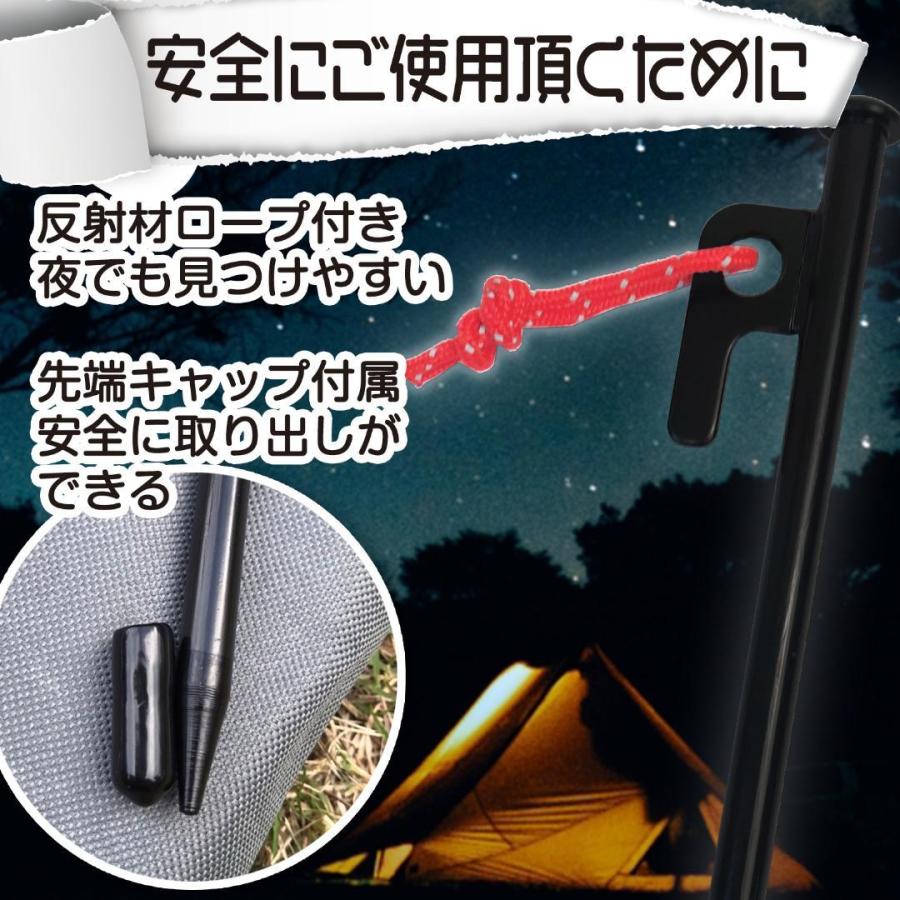 #1498 スチールペグ30cm