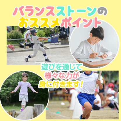 #2360 バランスストーン小魚  サカナ