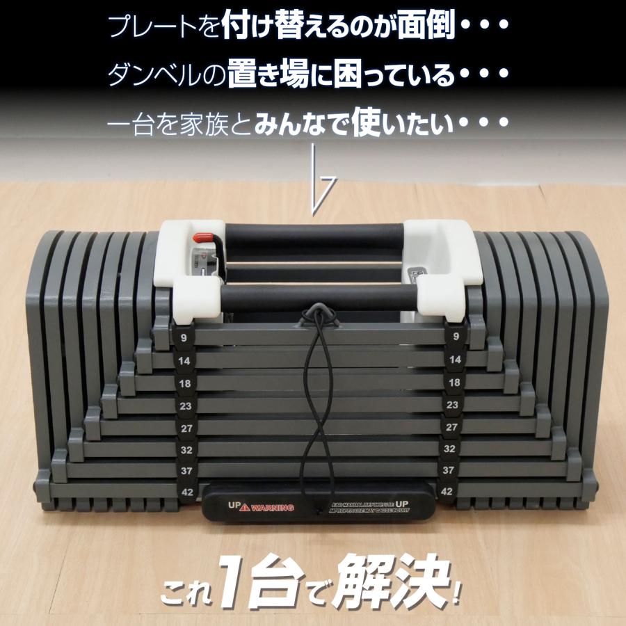 #2824 ブロックダンベルAB42  オールブラック　42kg 　単品