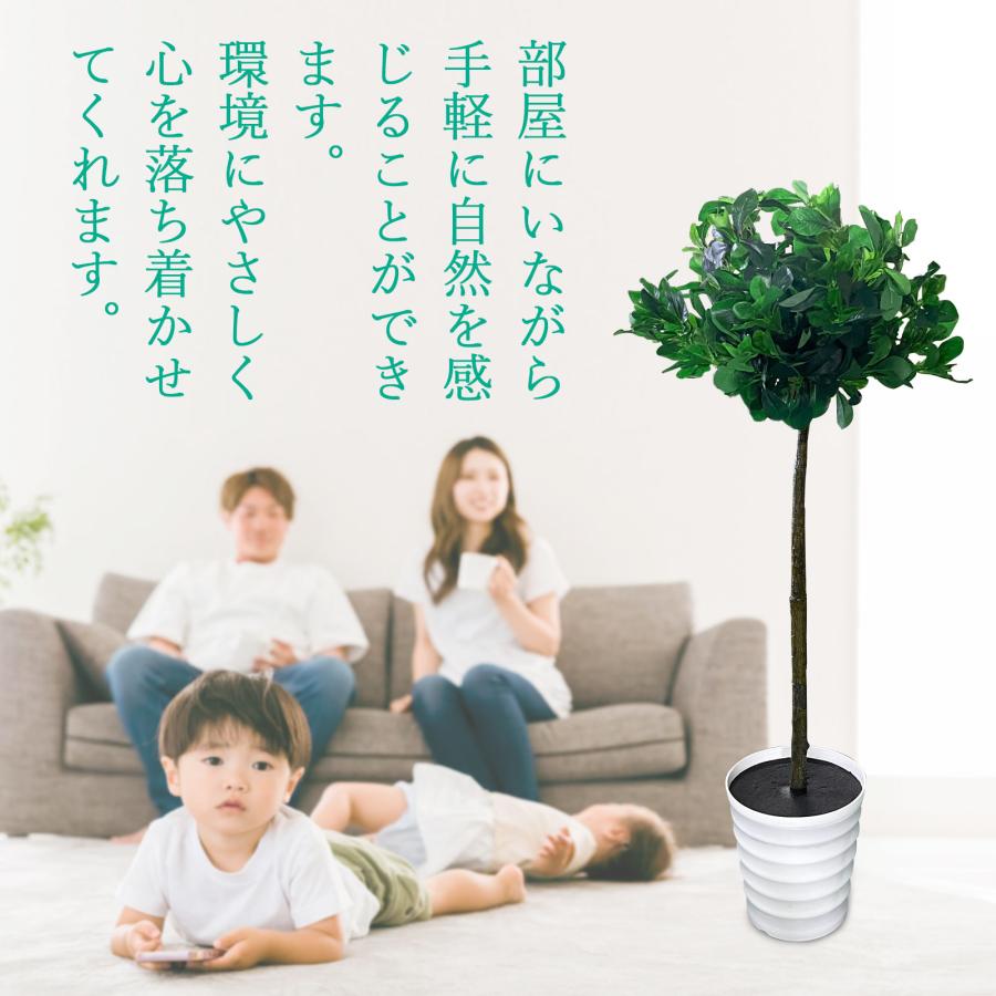 #1355 トピアリーボール, 120cm