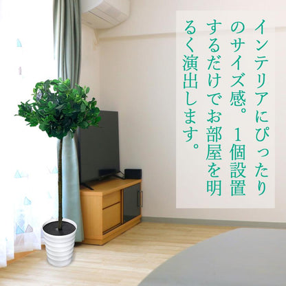 #1355 トピアリーボール, 120cm