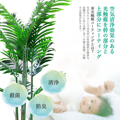 #1355 トピアリーボール, 120cm