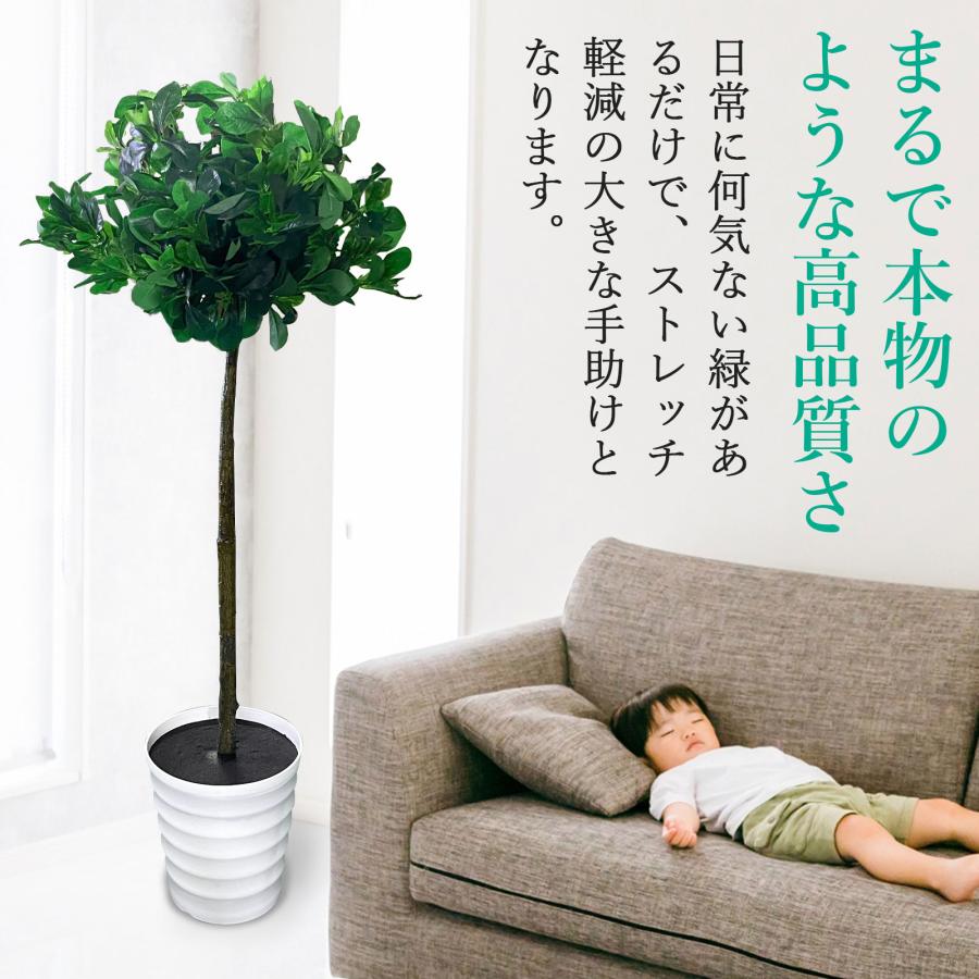 #1355 トピアリーボール, 120cm