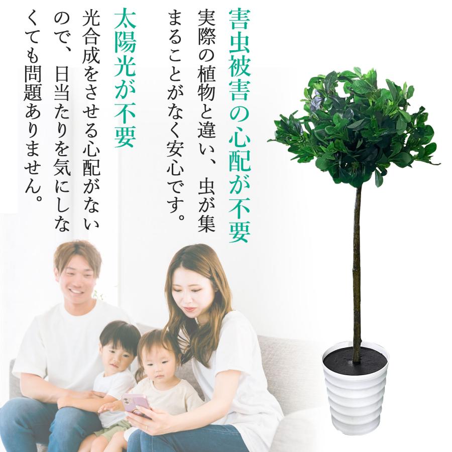 #1355 トピアリーボール, 120cm