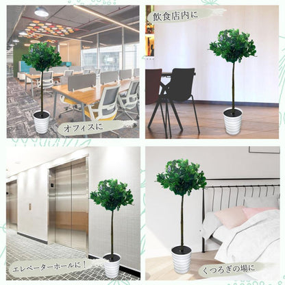 #1355 トピアリーボール, 120cm