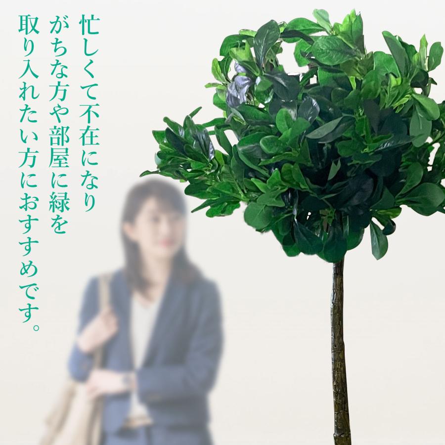 #1355 トピアリーボール, 120cm