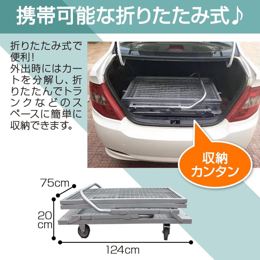 #1852 メッシュ台車