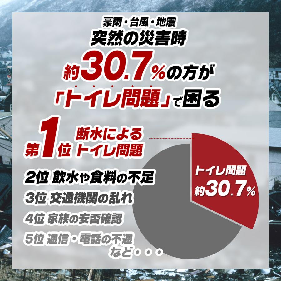 #2234 非常用トイレ5セット　300回分
