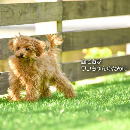 #2117 人工芝ロール2*10m
